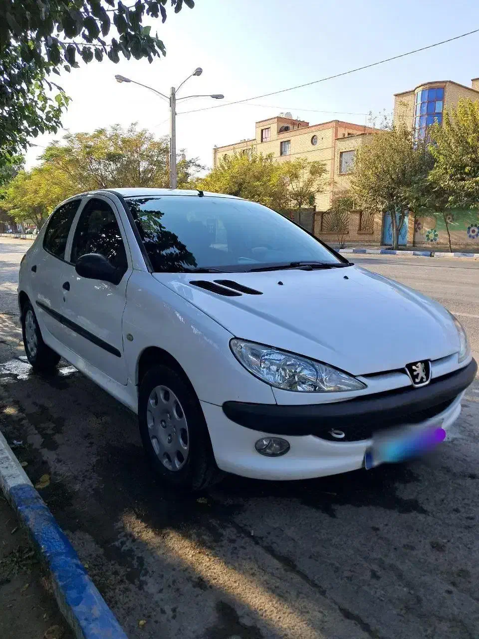 پژو 206 تیپ 2 - 1395