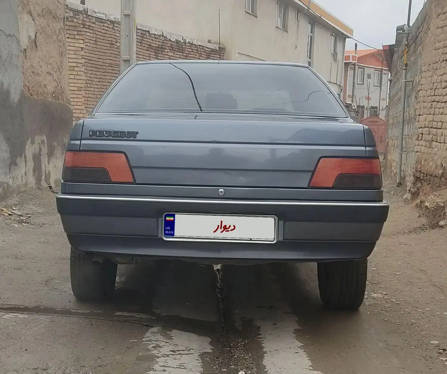 پژو 405 GLX - دوگانه سوز - 1393