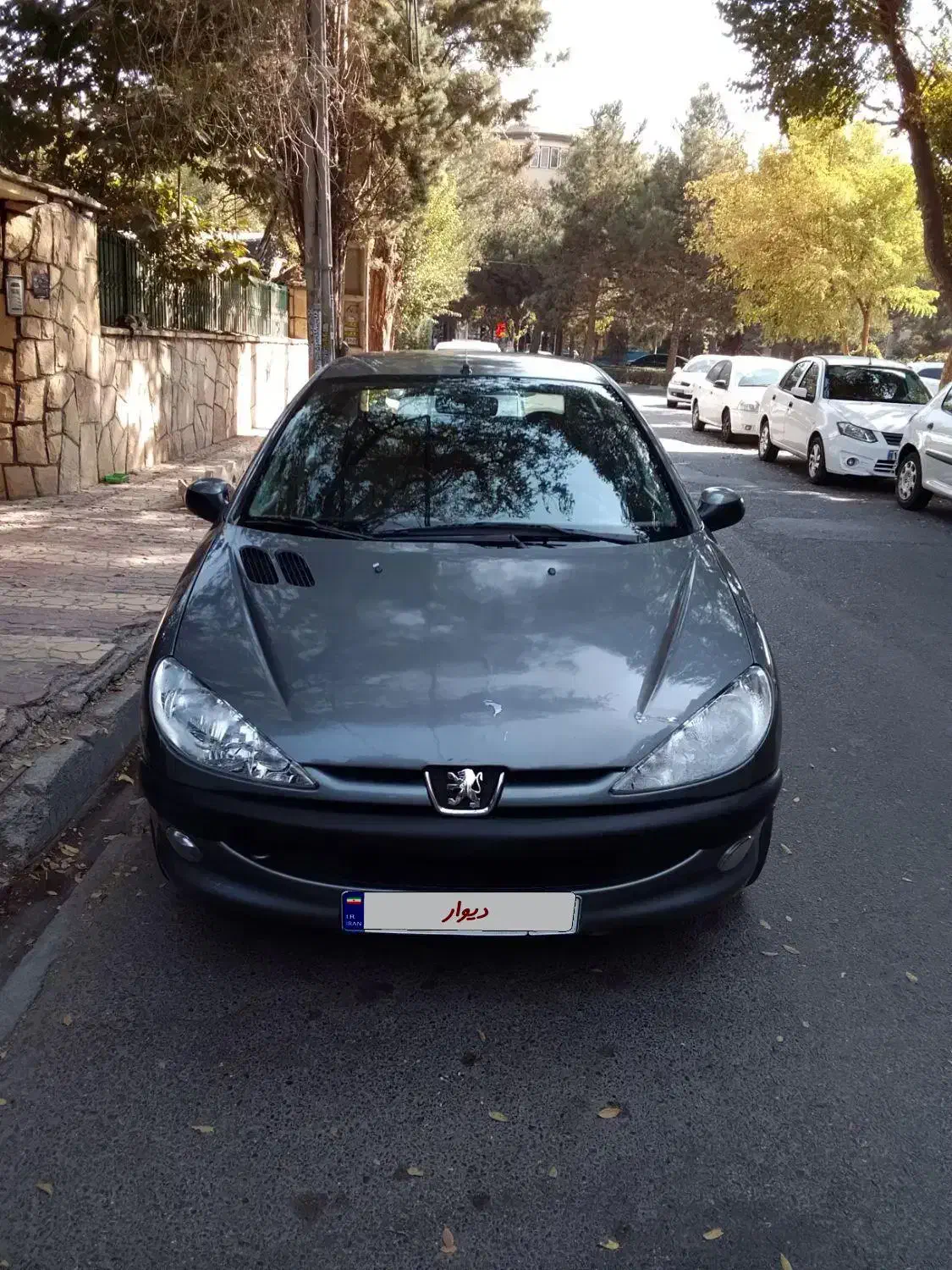 پژو ۲۰۶ صندوق دار v8 - 1393