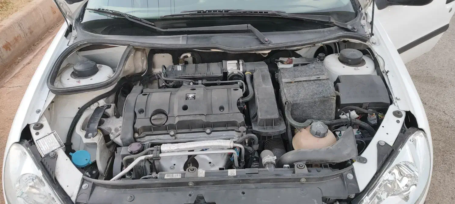 پژو 206 تیپ 5 - 1399