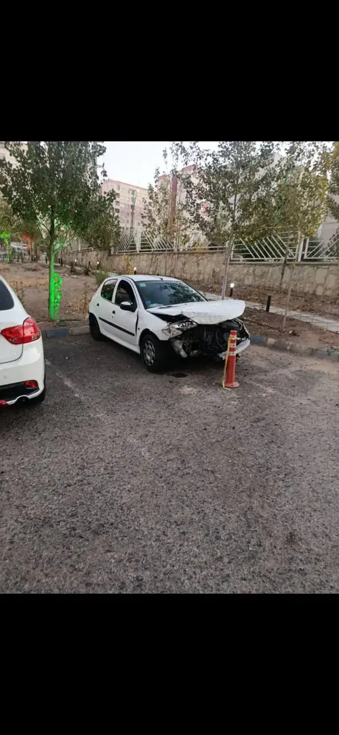 پژو 206 تیپ 5 - 1392