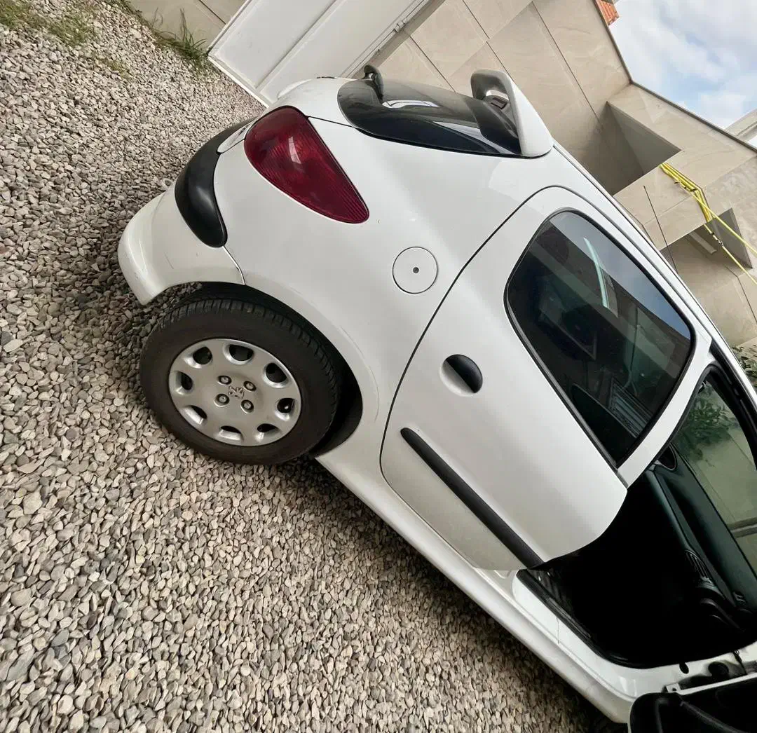 پژو 206 تیپ 3 - 1395