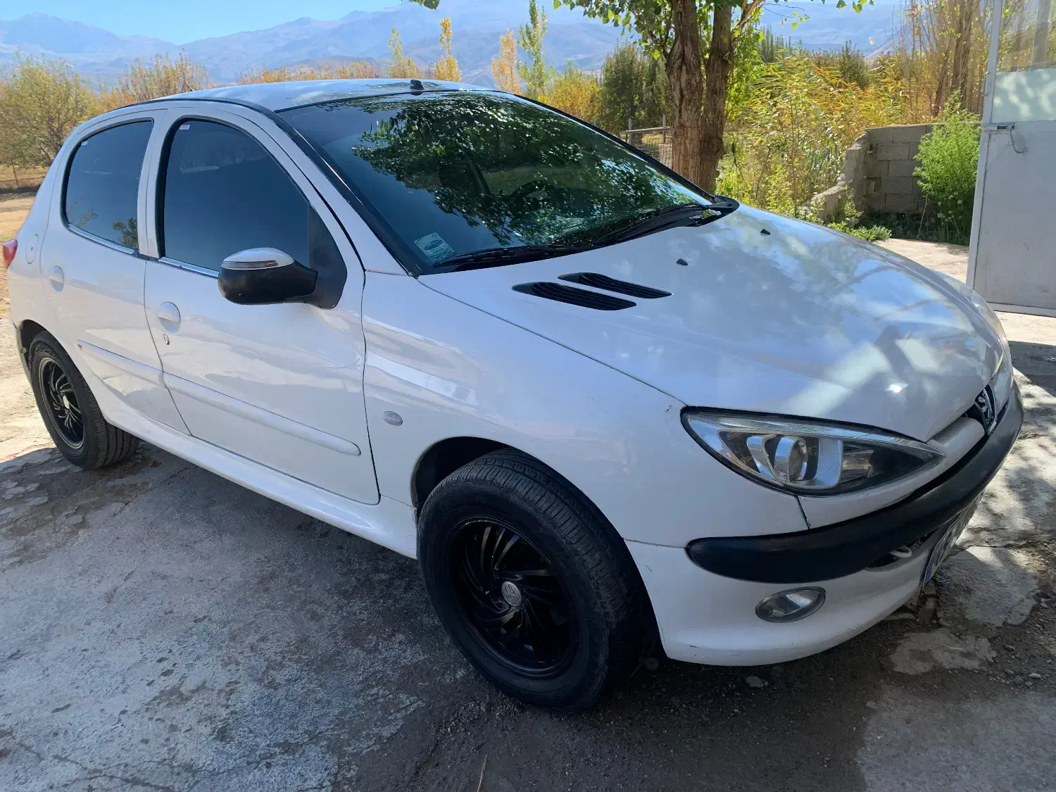 پژو 206 تیپ 2 - 1389