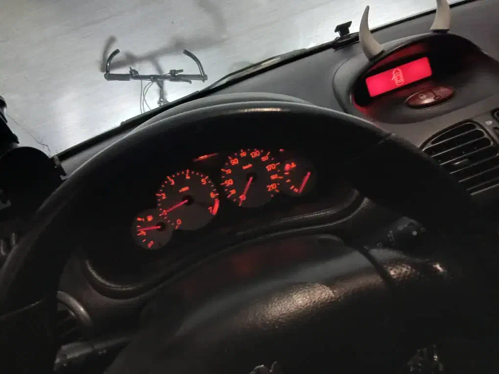 پژو 206 تیپ 5 - 1390