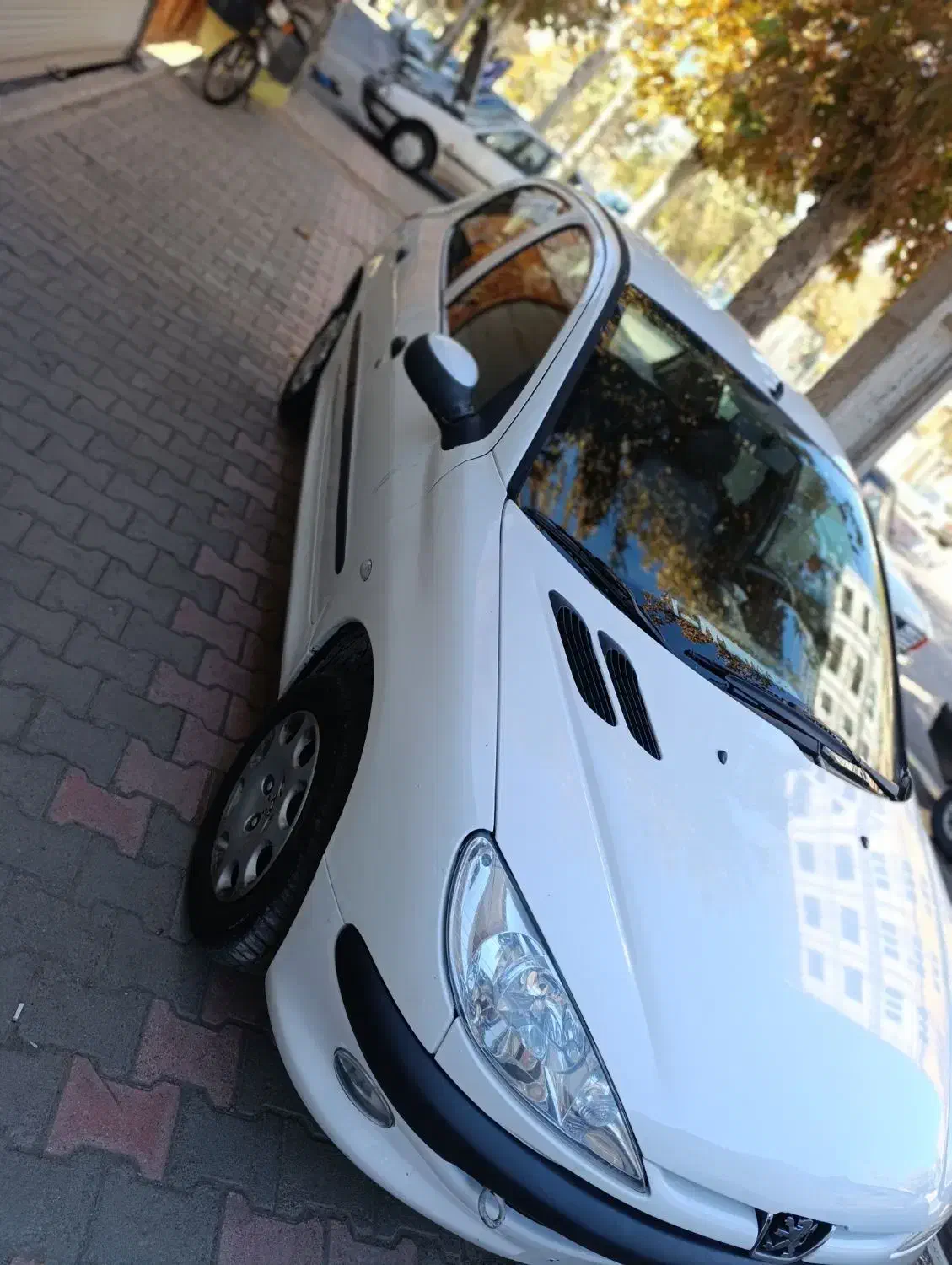 پژو 206 تیپ 2 - 1394