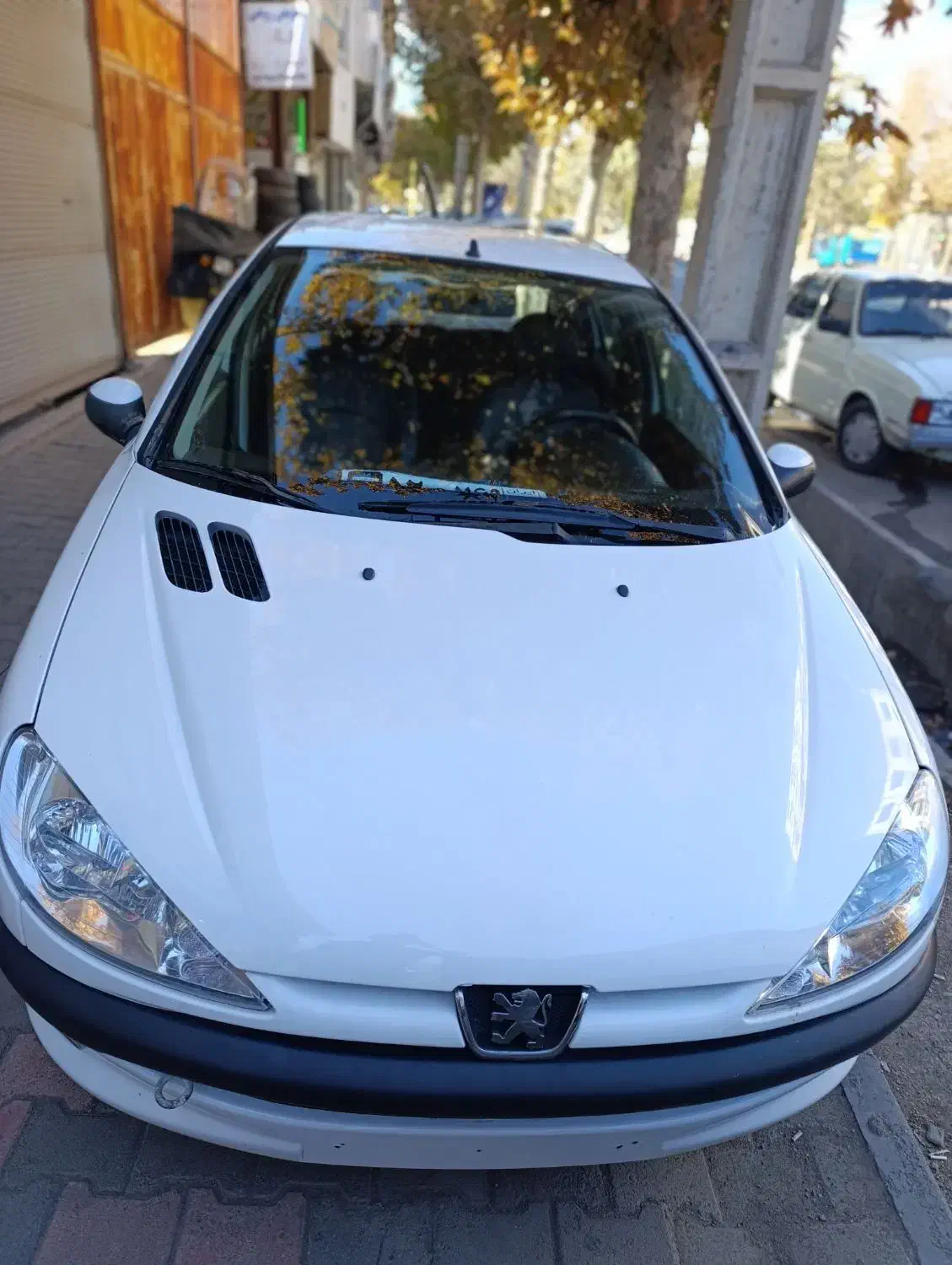 پژو 206 تیپ 2 - 1394