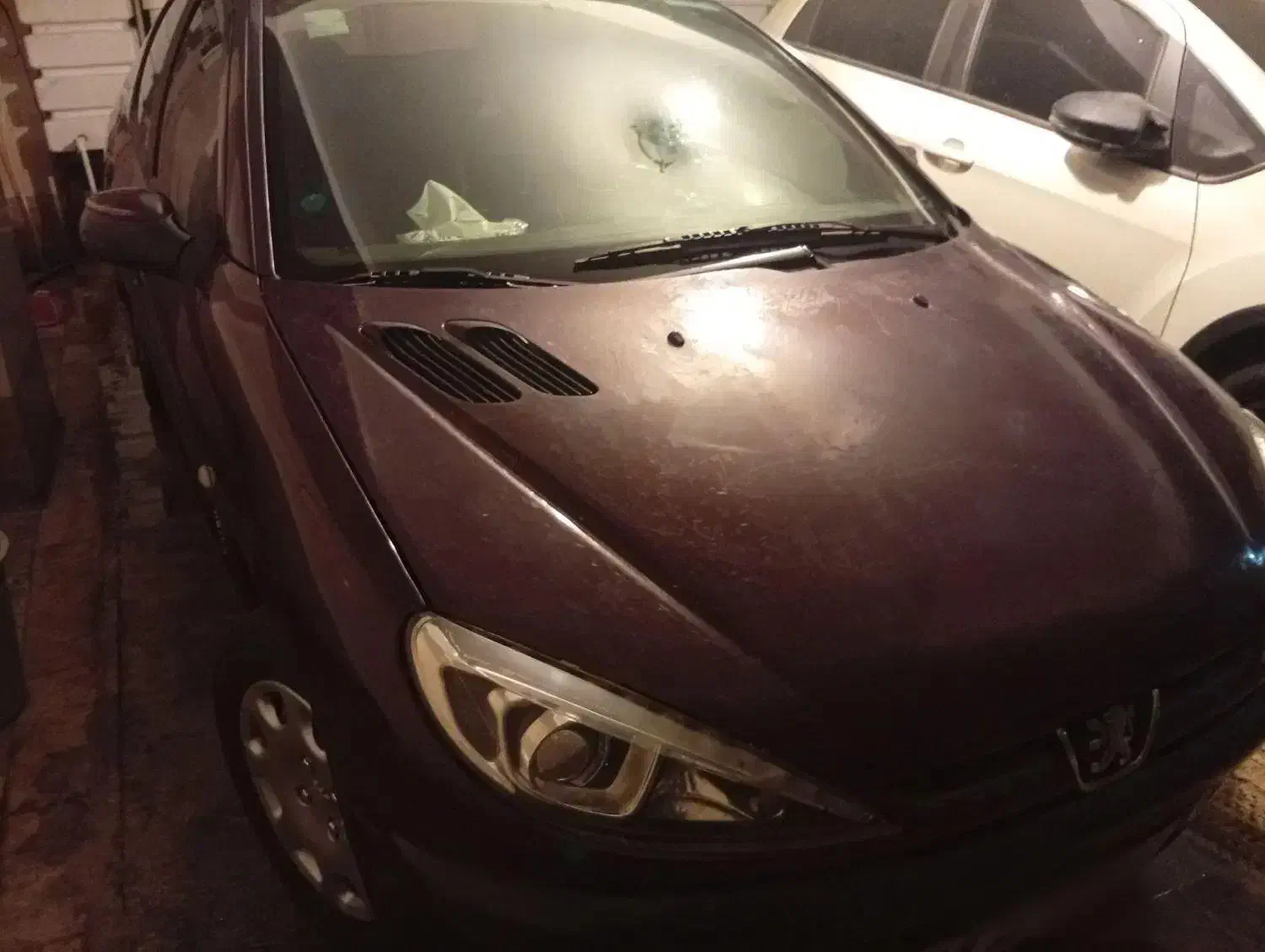 خودرو پژو، ۲۰۶ صندوق دار آگهی ann_20937784