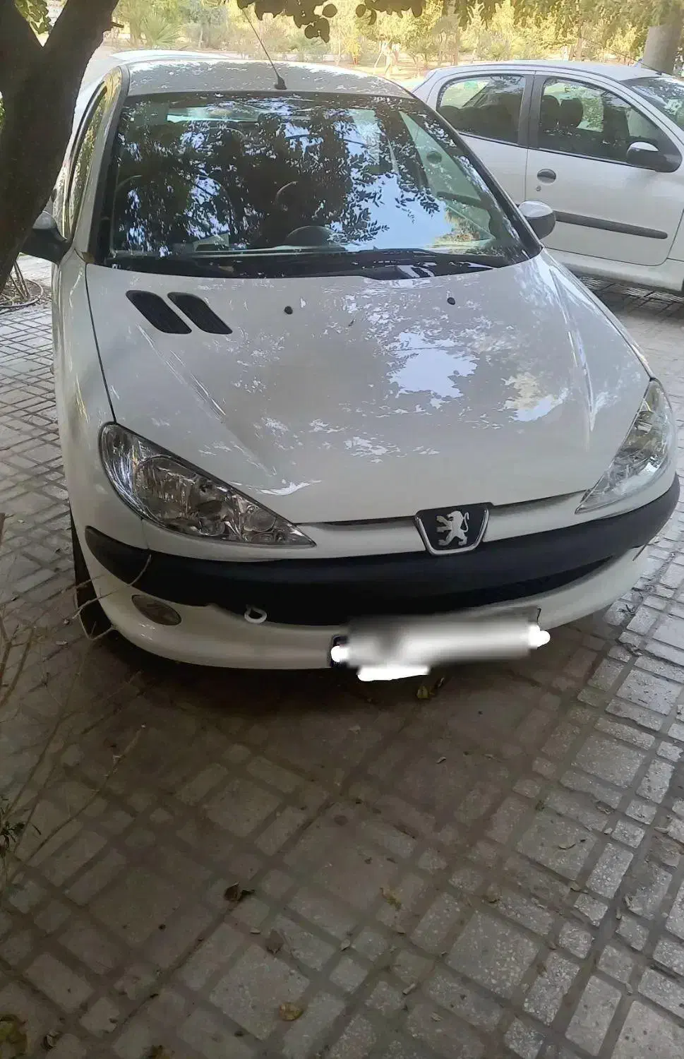 خودرو پژو، ۲۰۶ صندوق دار آگهی ann_20937793