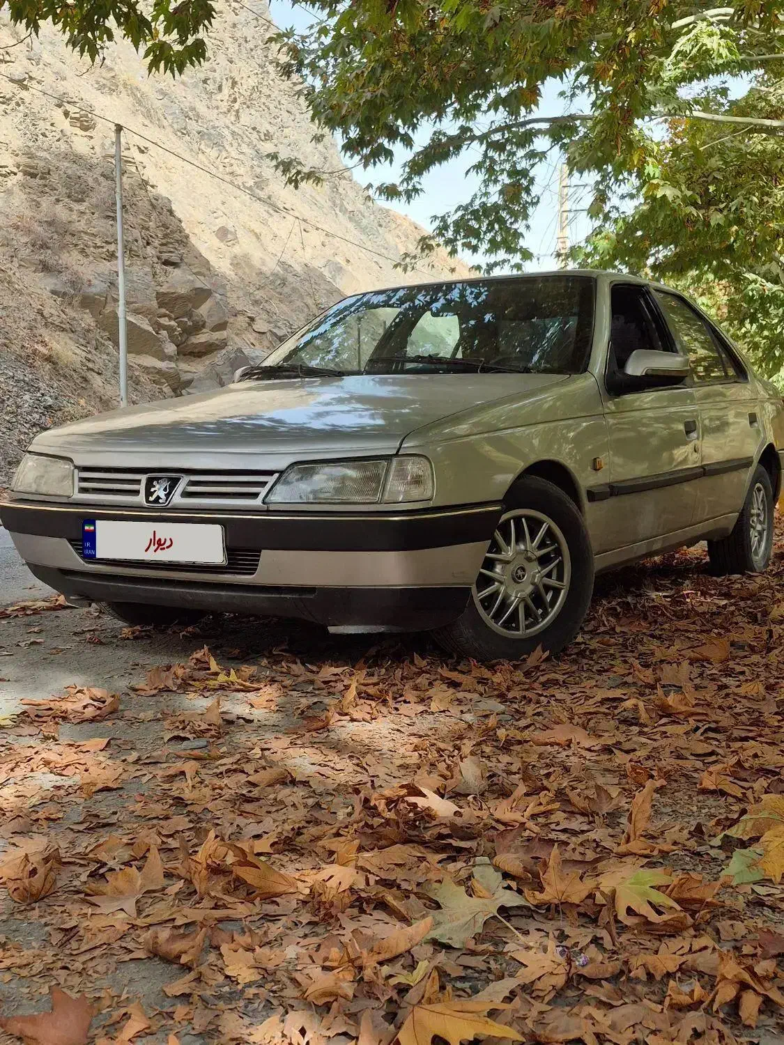 خودرو پژو، 405 آگهی ann_20937839