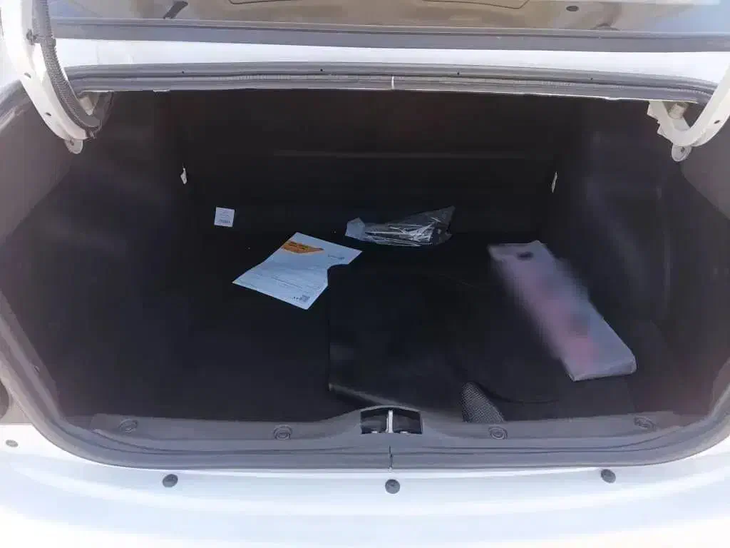 ساینا S دنده‌ای دوگانه سوز - 1404