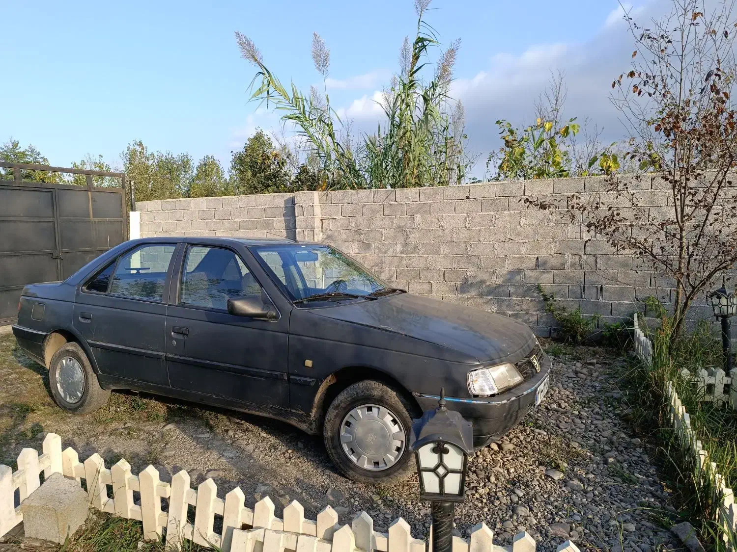 پژو 405 GLX - دوگانه سوز - 1384