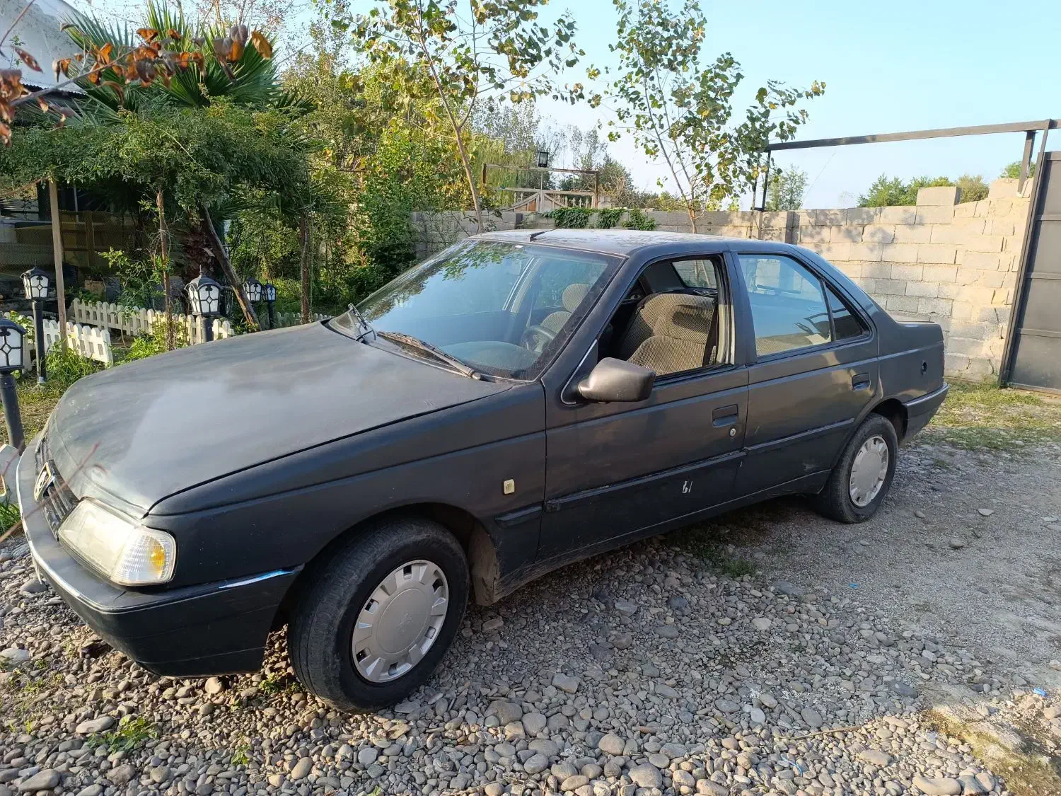 پژو 405 GLX - دوگانه سوز - 1384