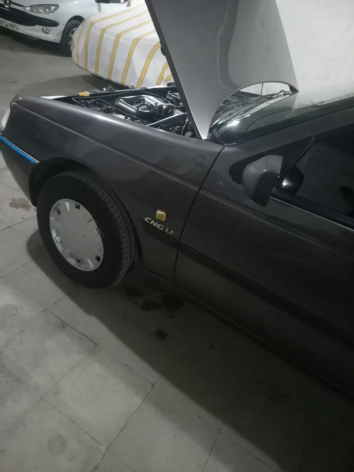 پژو روآ G2 دوگانه سوز - 1390