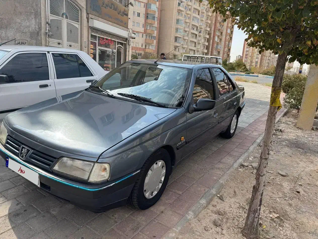 پژو 405 GLX - دوگانه سوز - 1393