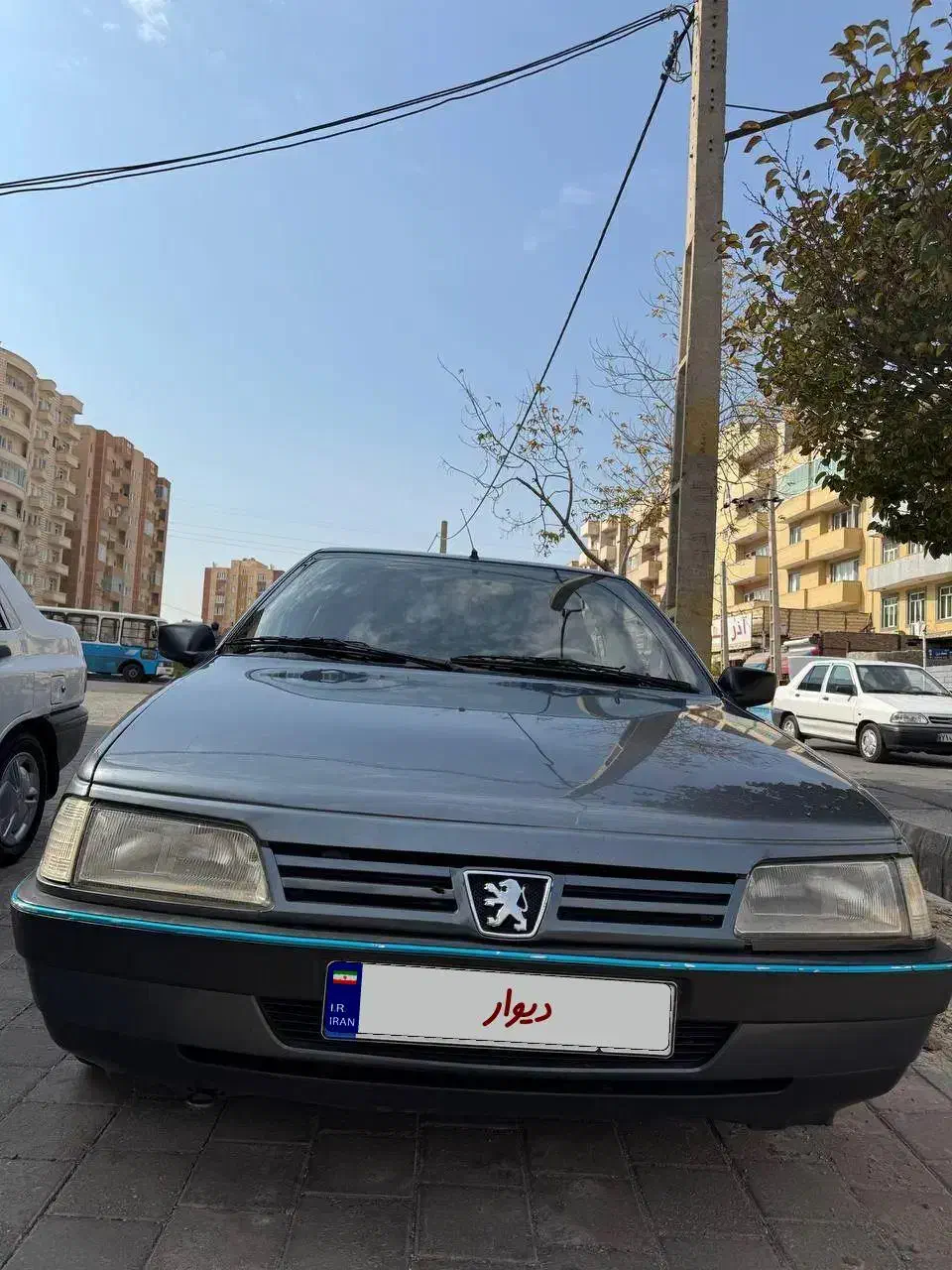 پژو 405 GLX - دوگانه سوز - 1393