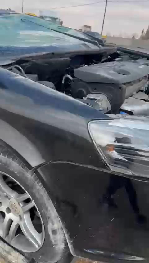 رانا پلاس پانوراما - 1401