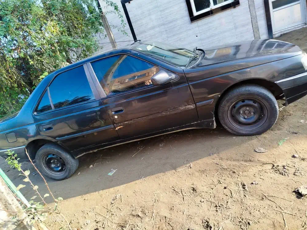 پژو 405 GLX - 1383