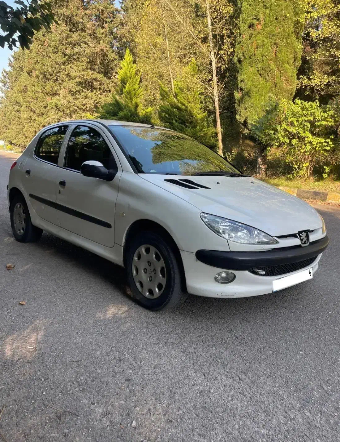 پژو 206 تیپ 2 - 1391