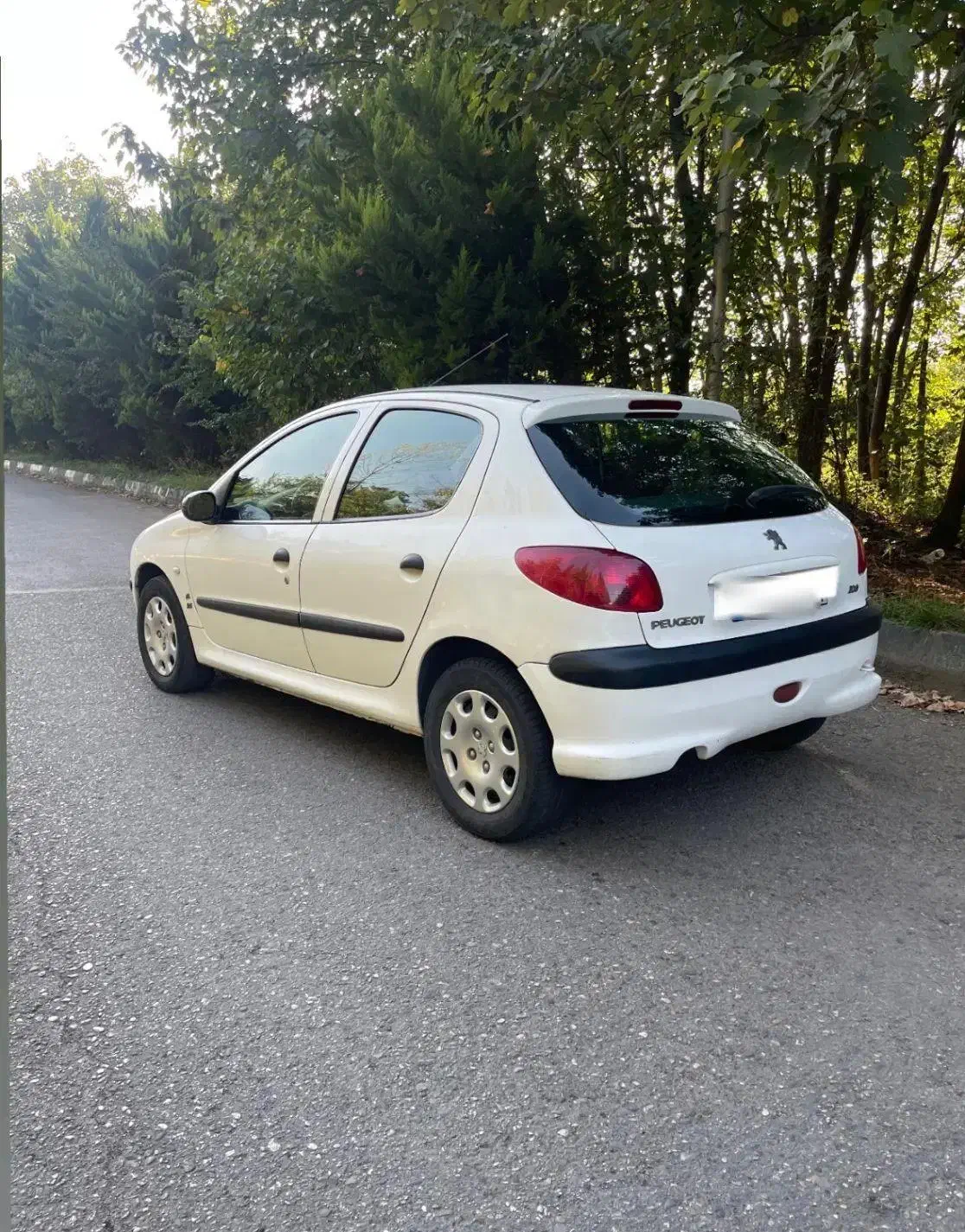 پژو 206 تیپ 2 - 1391