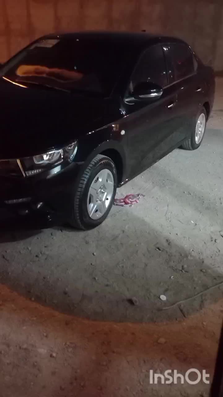 خودرو تارا، دنده‌ای آگهی ann_20938802