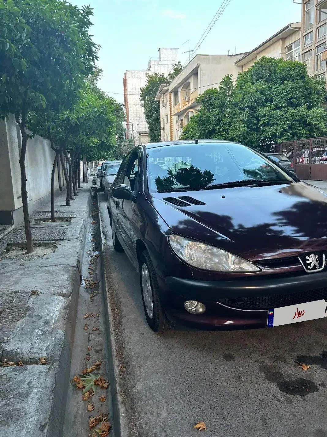 پژو 206 تیپ 5 - 1392