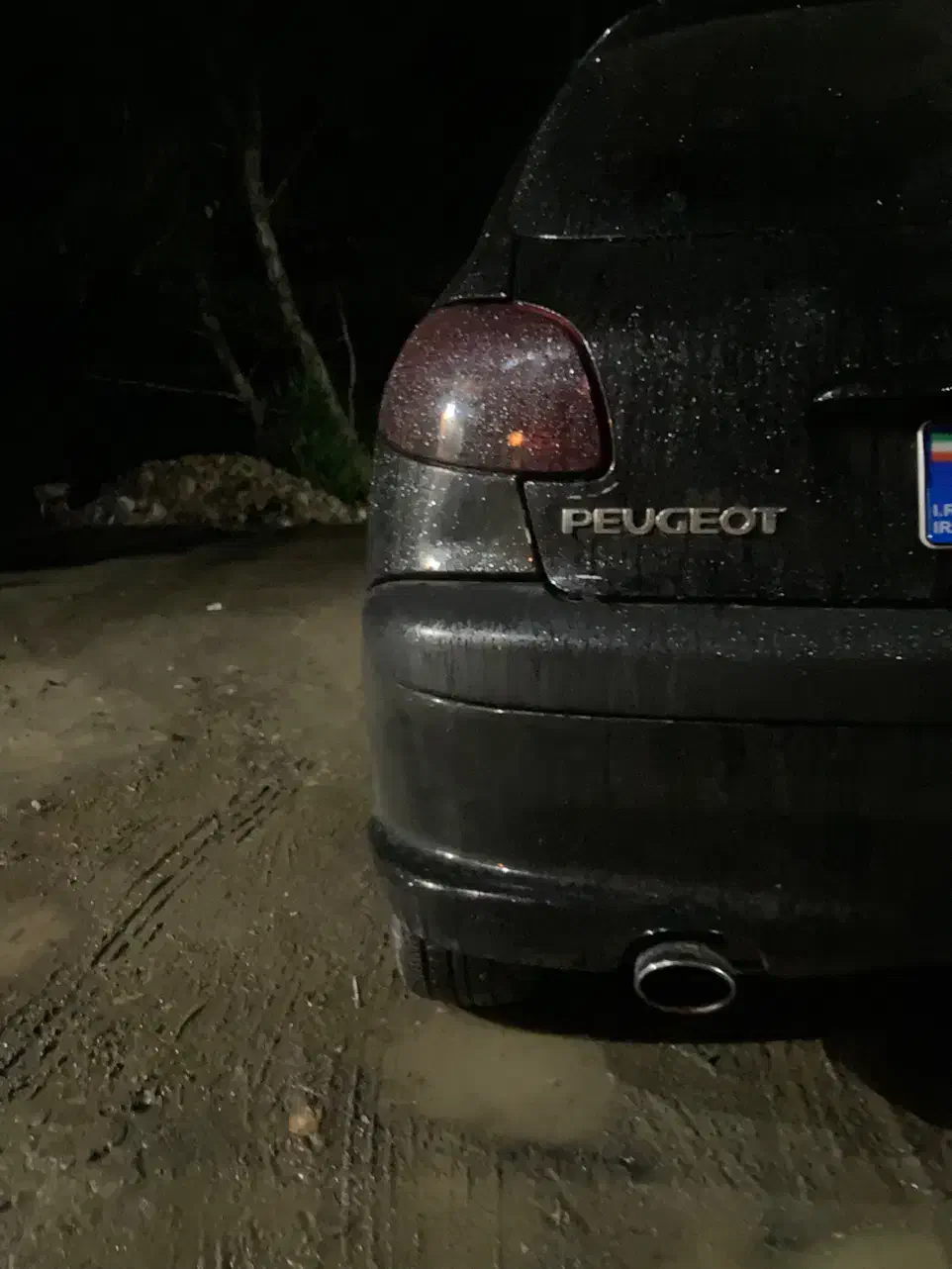 پژو 206 تیپ 5 - 1390