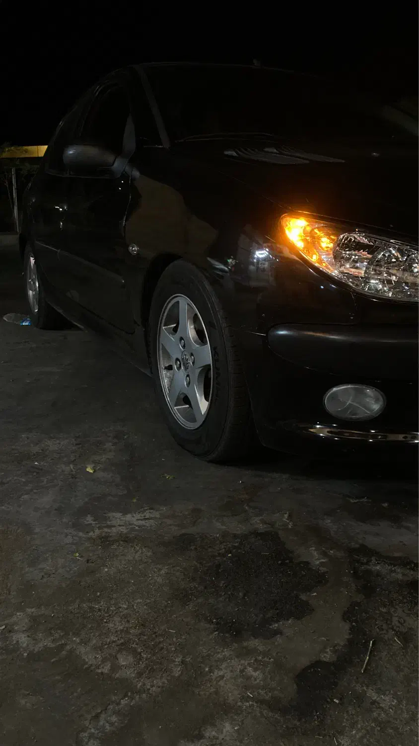 پژو 206 تیپ 5 - 1390