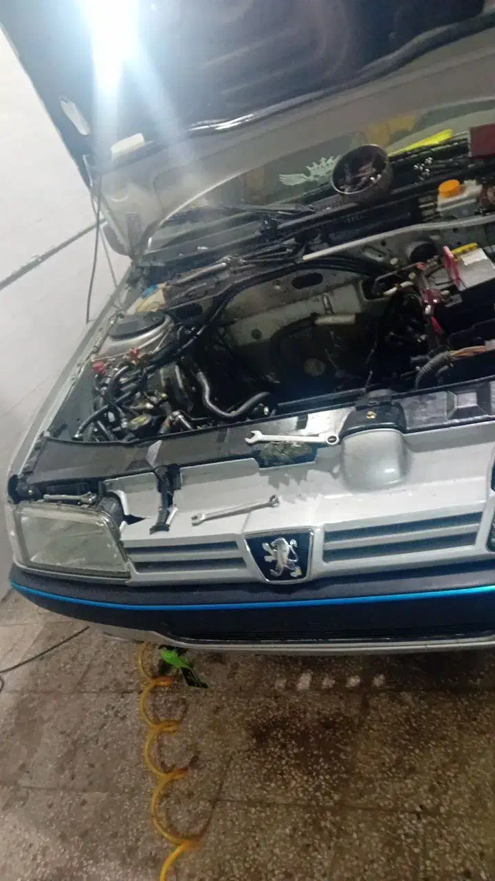 خودرو پژو، 405 آگهی ann_20938902