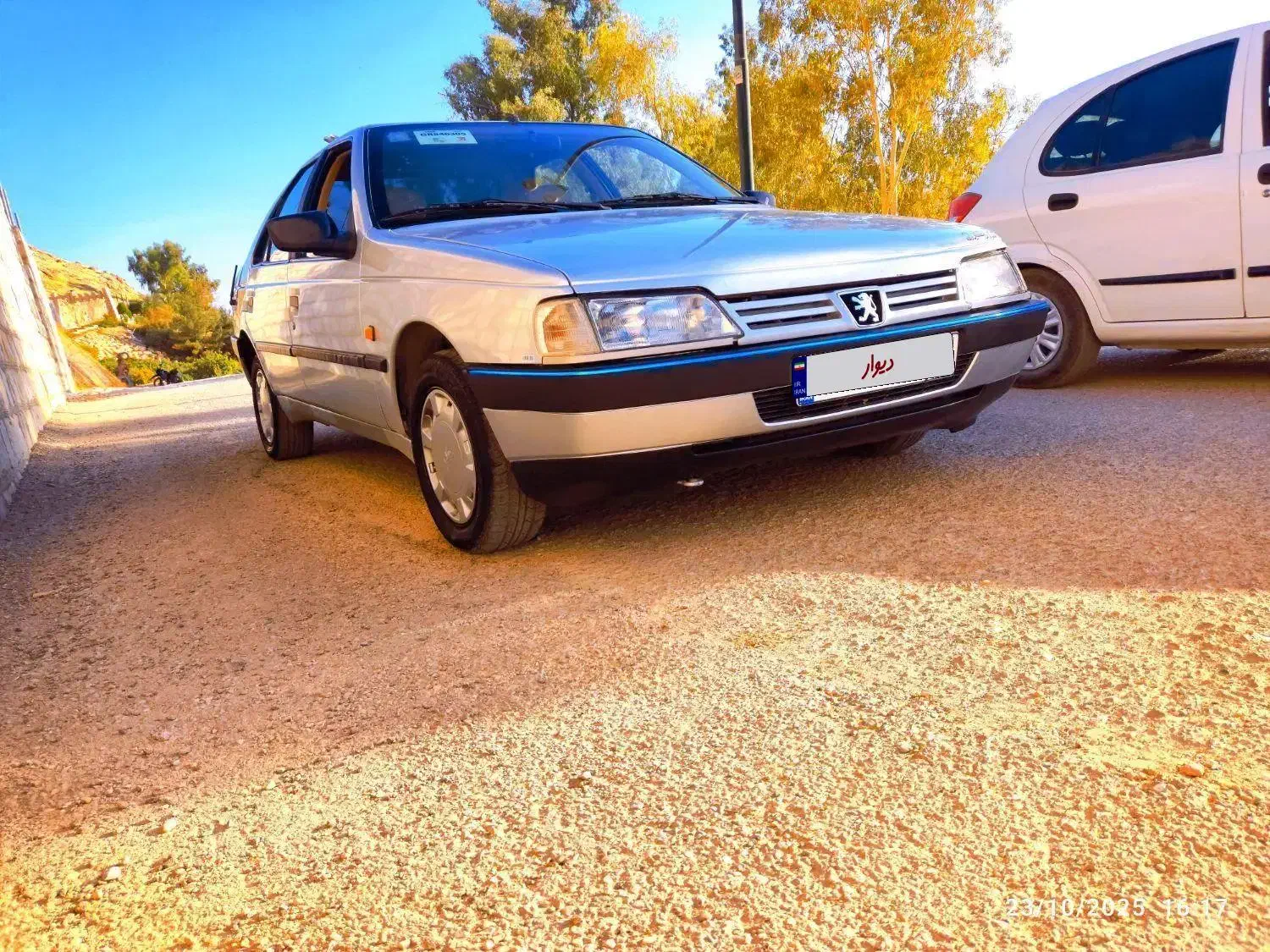 پژو 405 GLX - دوگانه سوز - 1394