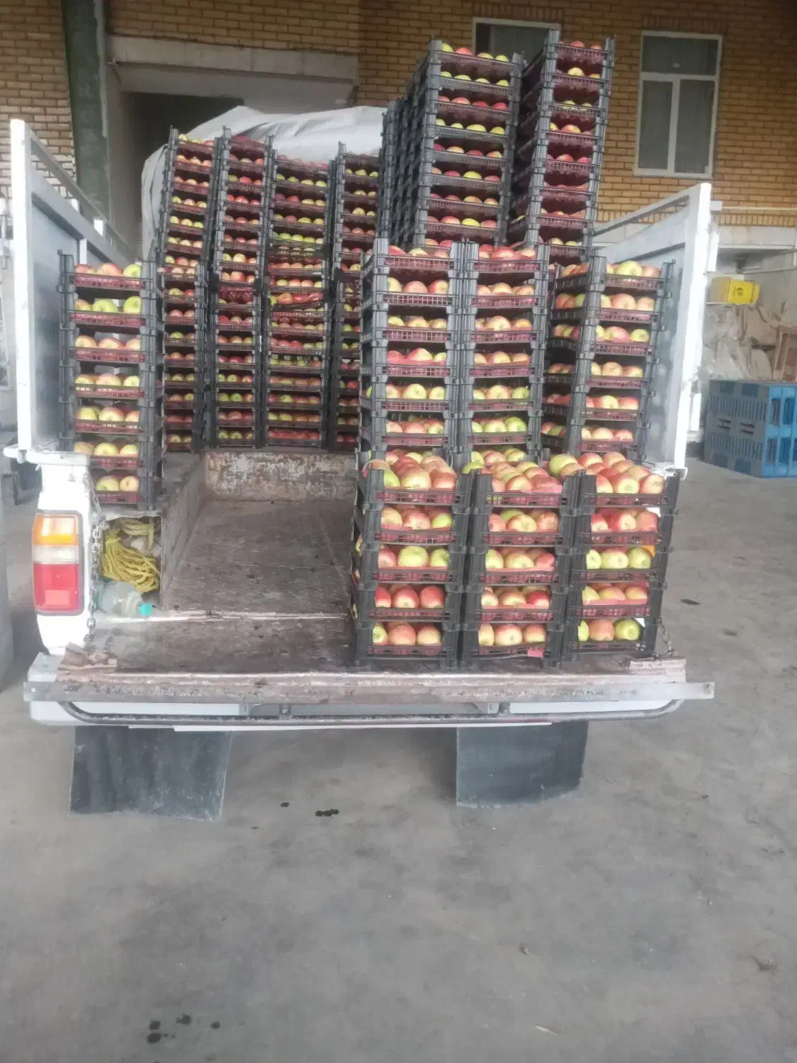 زامیاد وانت نیسانZ24 دوگانه سوز - 1385