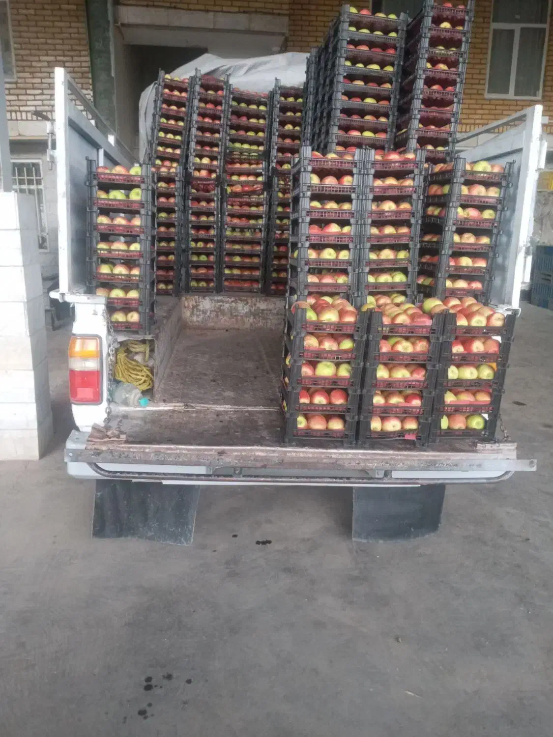 زامیاد وانت نیسانZ24 دوگانه سوز - 1385