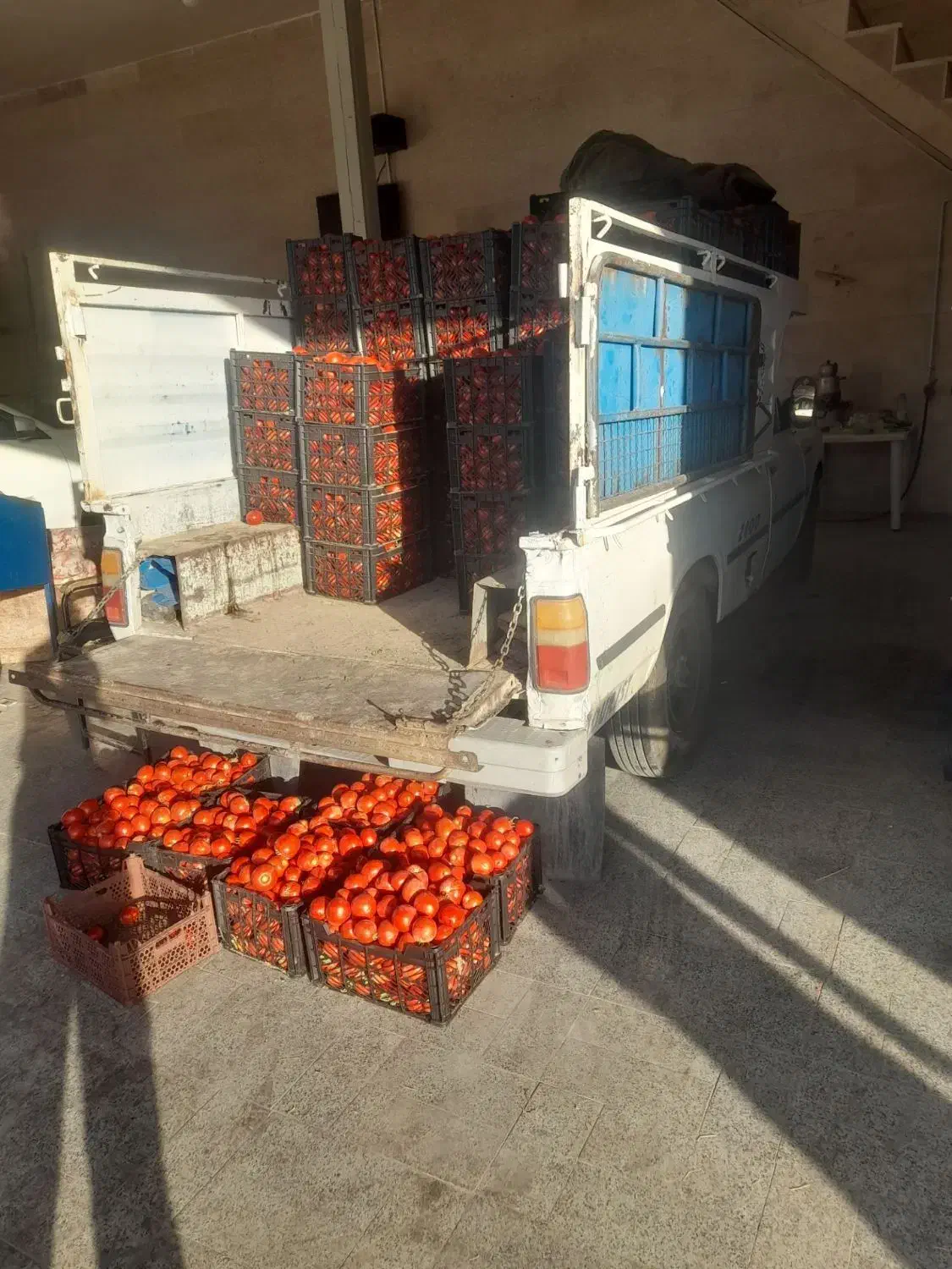 زامیاد وانت نیسانZ24 دوگانه سوز - 1385