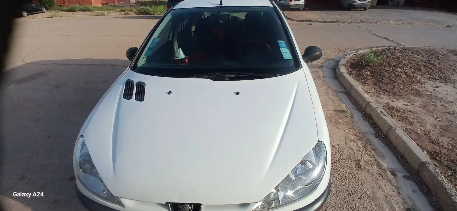 پژو 206 تیپ 2 - 1381