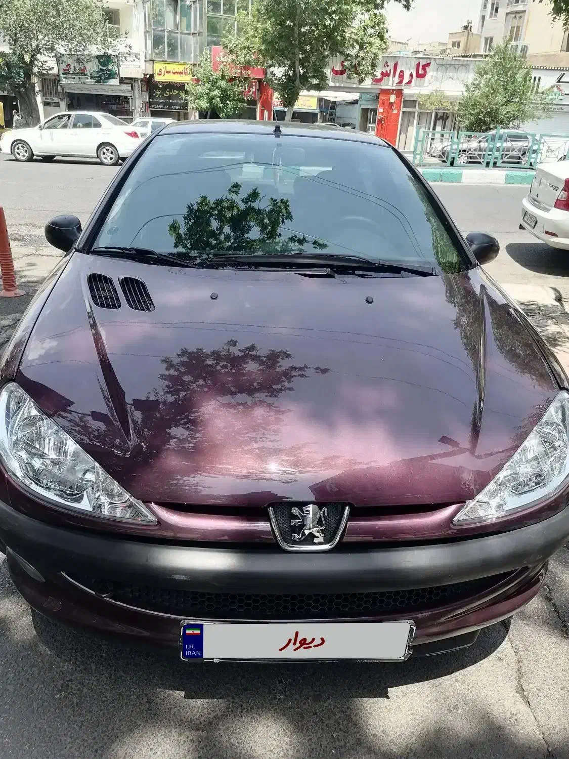 پژو 206 تیپ 2 - 1401