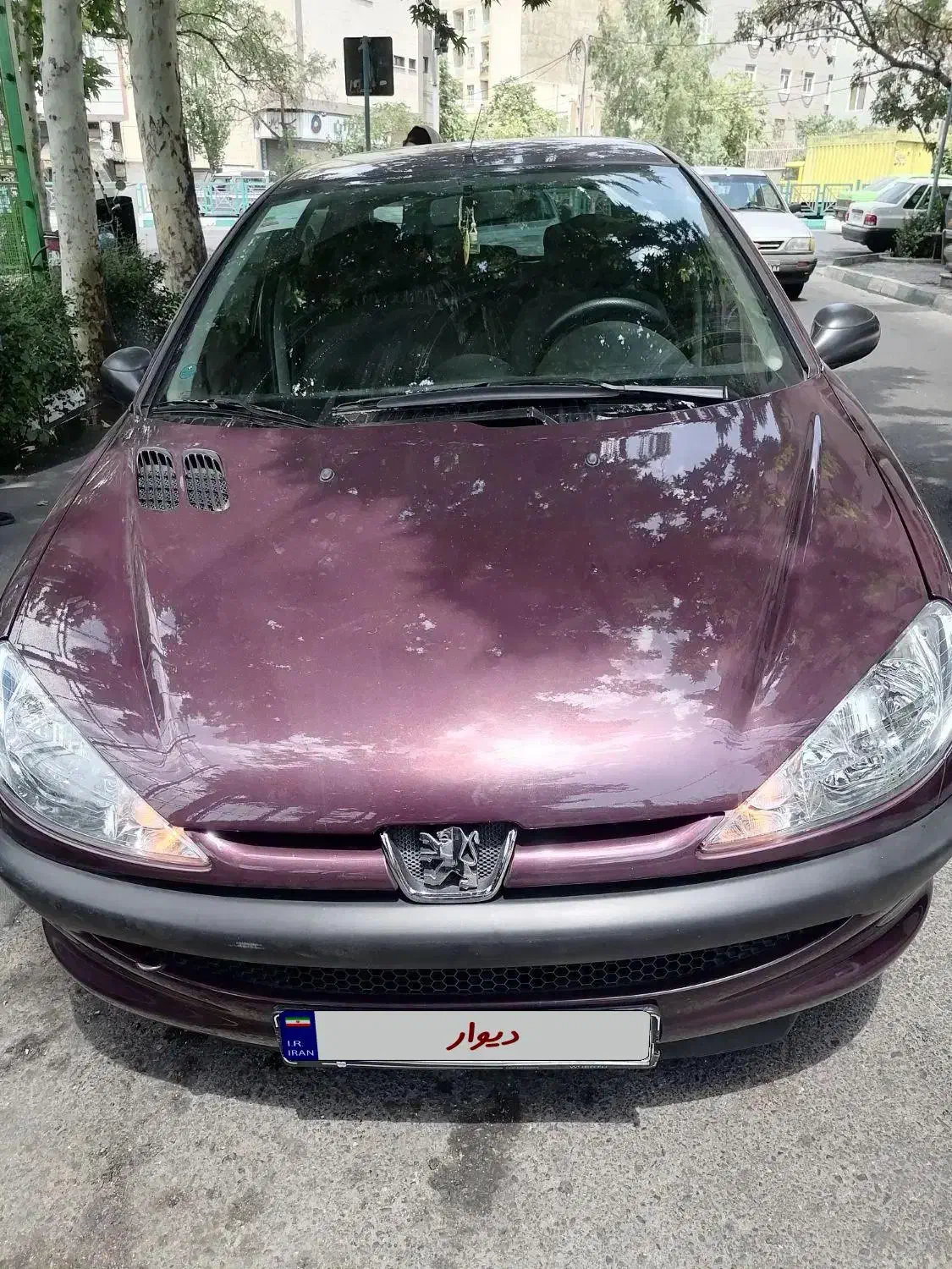 پژو 206 تیپ 2 - 1401