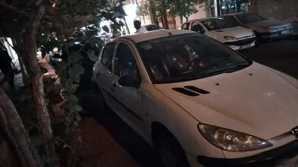 پژو 206 تیپ 2 - 1388