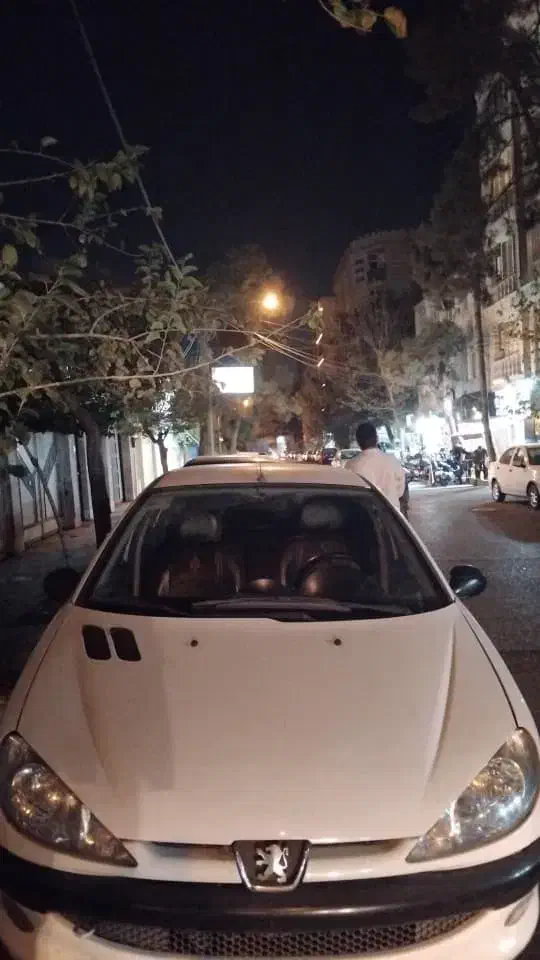 پژو 206 تیپ 2 - 1388