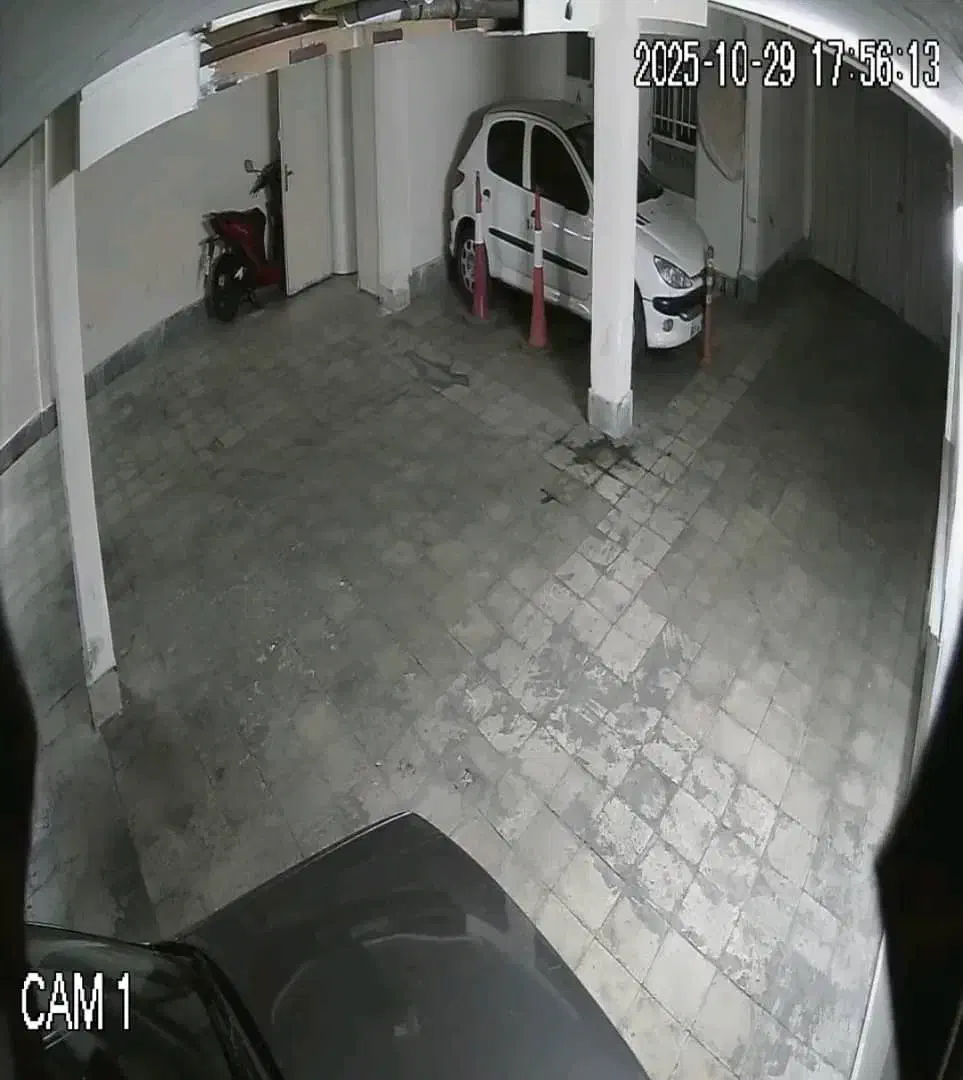 پژو 206 تیپ 2 - 1388