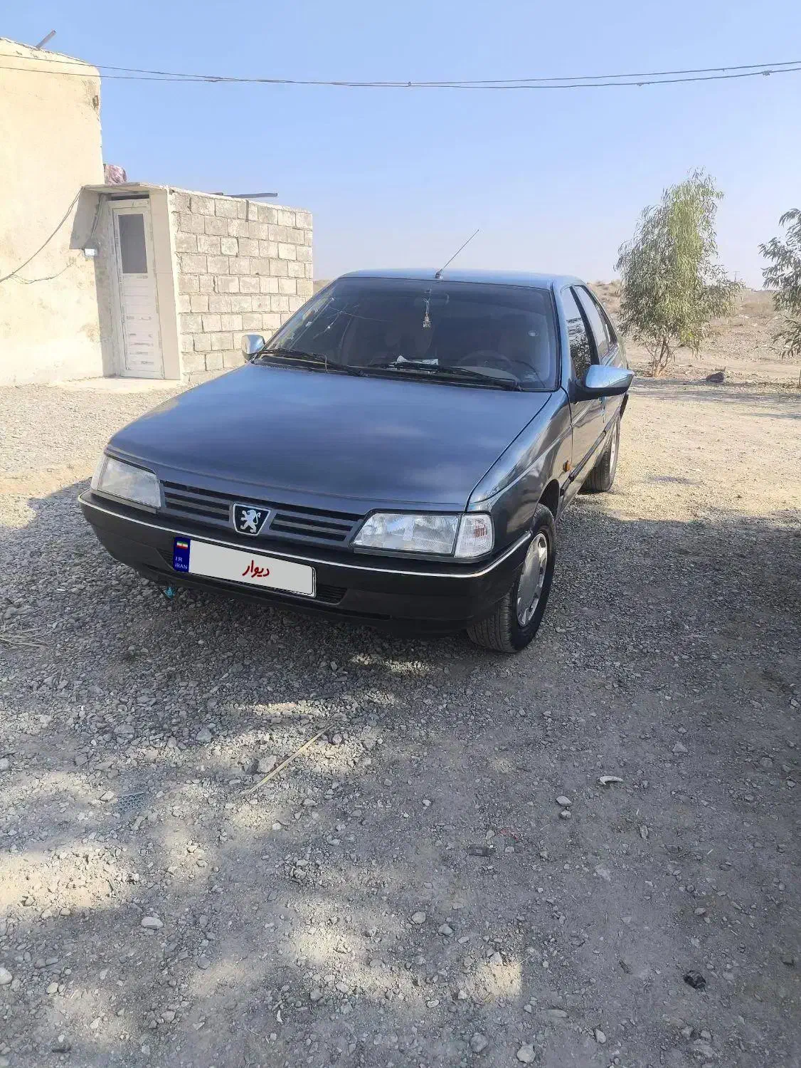 پژو 405 GLX - دوگانه سوز - 1389