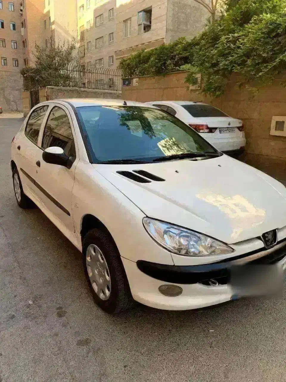 پژو 206 تیپ 2 - 1391