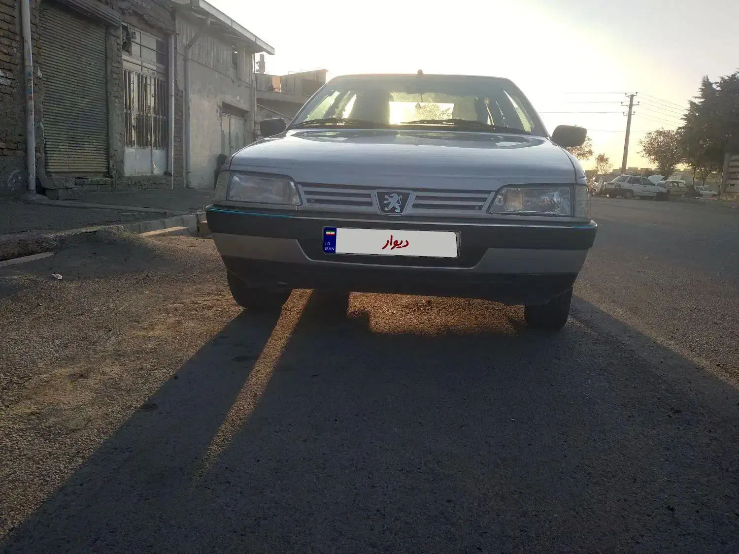 پژو 405 GLX - دوگانه سوز - 1394