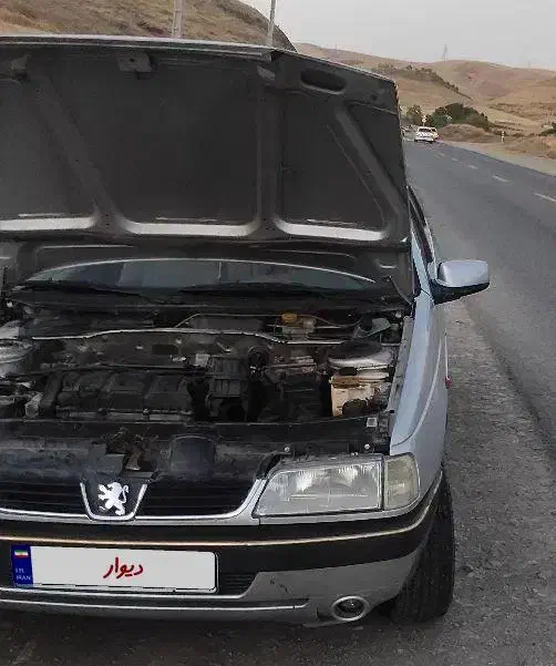 خودرو پژو، 405 آگهی ann_20939885