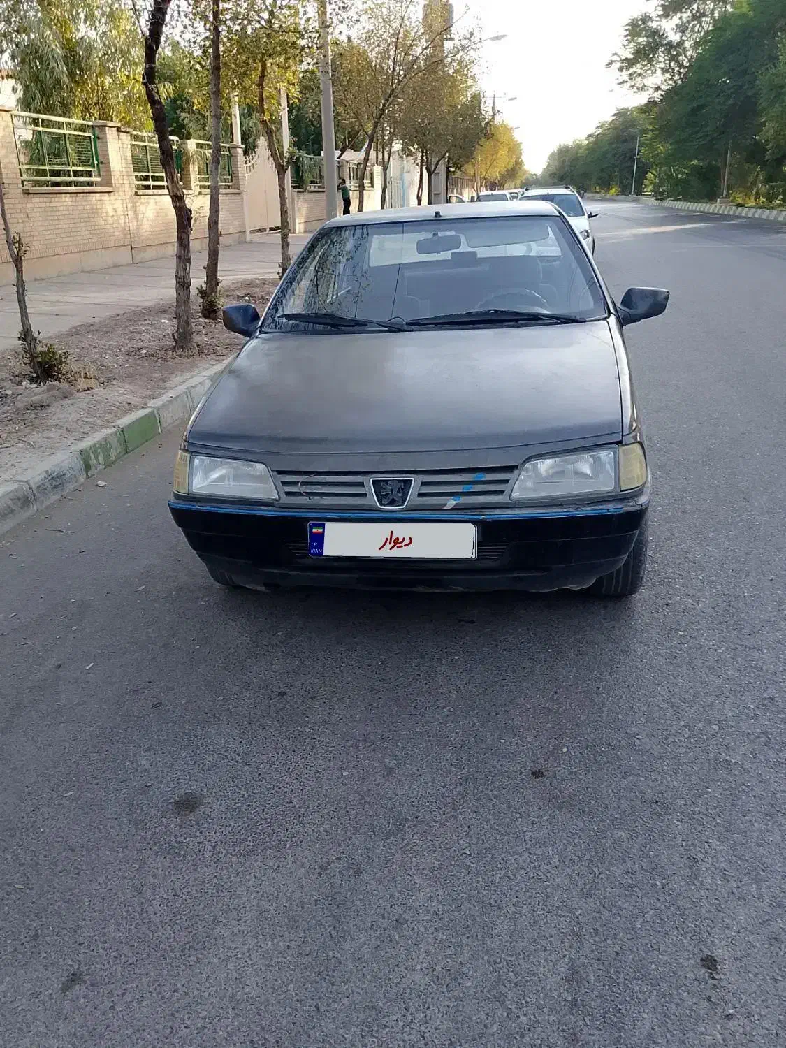 پژو روآ دوگانه سوز - 1386