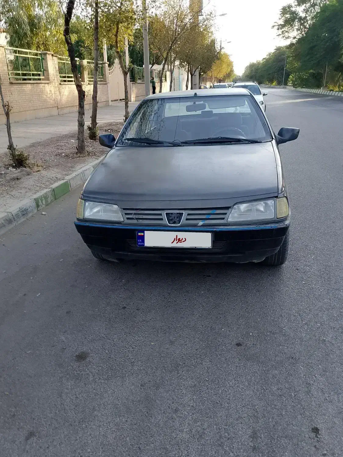 پژو روآ دوگانه سوز - 1386