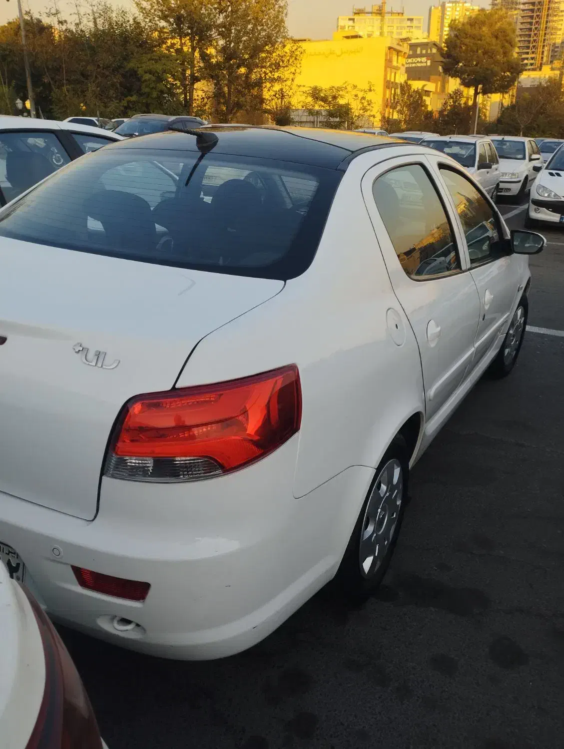 رانا پلاس پانوراما - 1400