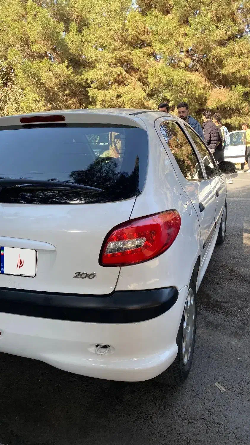 پژو 206 تیپ 2 - 1395