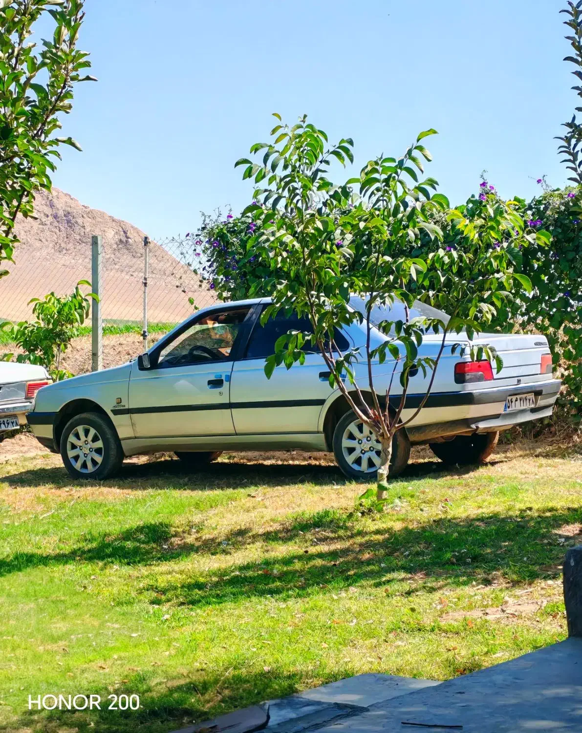 پژو 405 GLX - دوگانه سوز - 1390