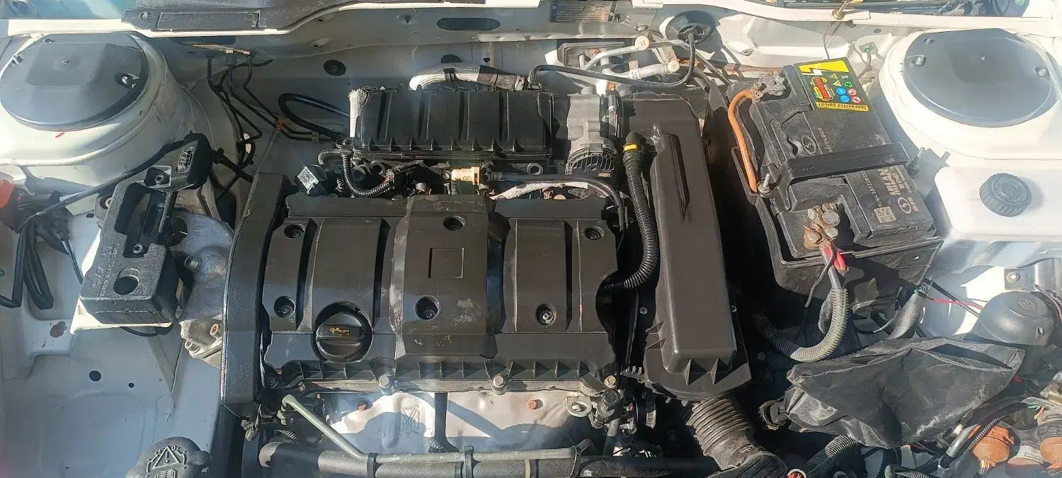 پژو 405 SLX بنزینی TU5 - 1394