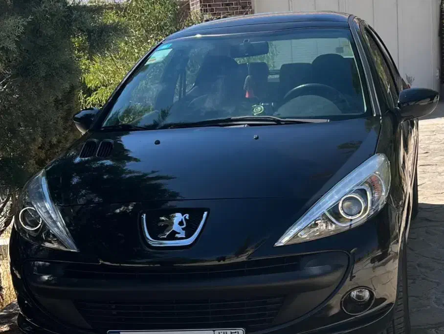 خودرو پژو، 207 آگهی ann_20940204