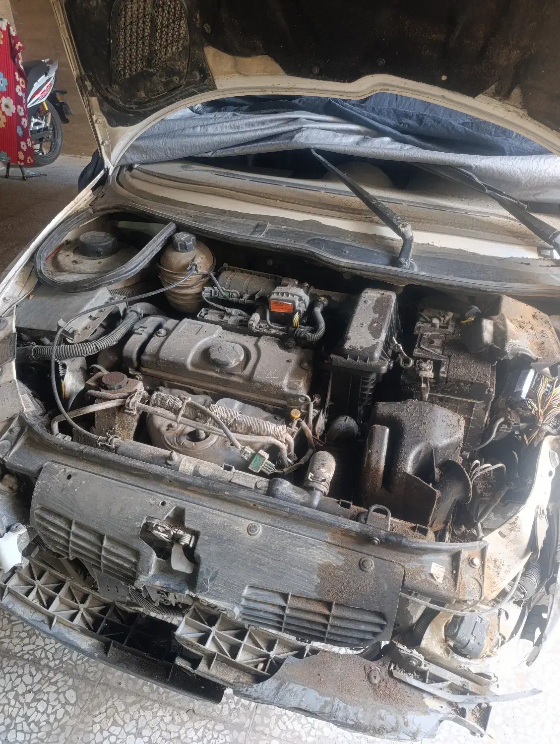 خودرو پژو، 206 آگهی ann_20940225